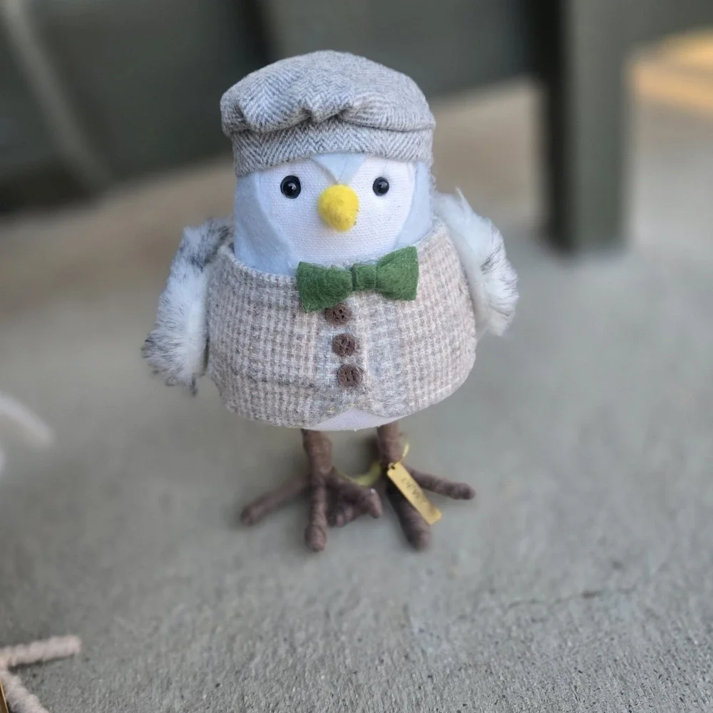 Lot of 4 Target Wondershop Winter Birds 2021/ 2022 Tricot,Flurry,Weft, Dewey,
